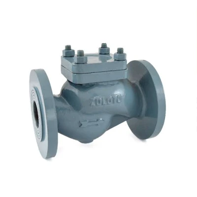 ZOLOTO Cast Iron Horizontal Lift Check Valve Straight Pattern (Flanged) (1067)
